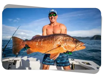 Sección 3 / Subtitulo 3.